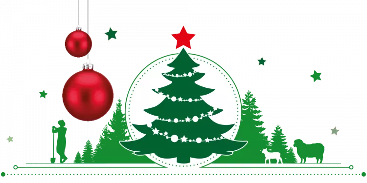 Weihnachtsbaum-Treff bei Reckmann